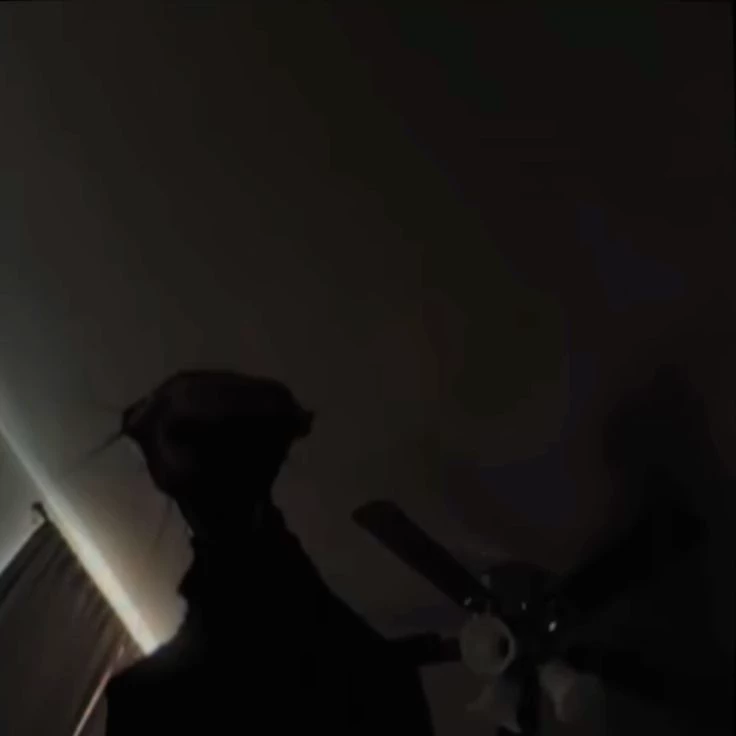 BOILED thumbnail