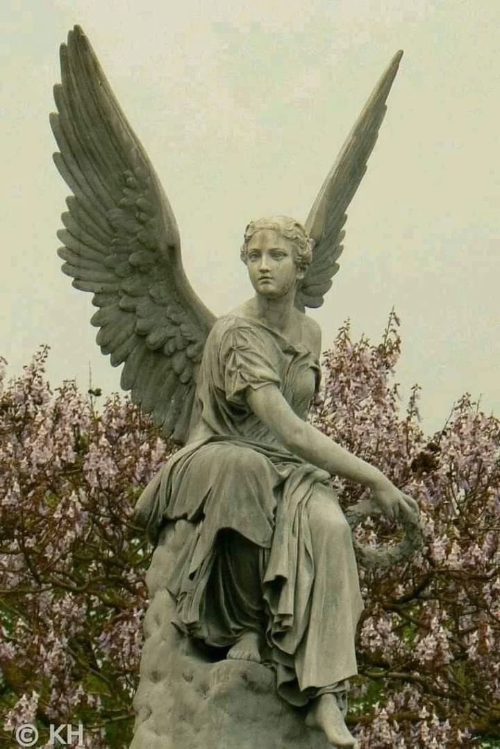 Martin & Pentra | The Angel and the Devil. thumbnail