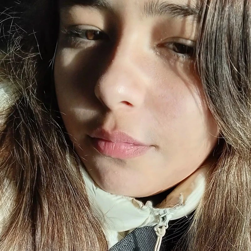 Delfi