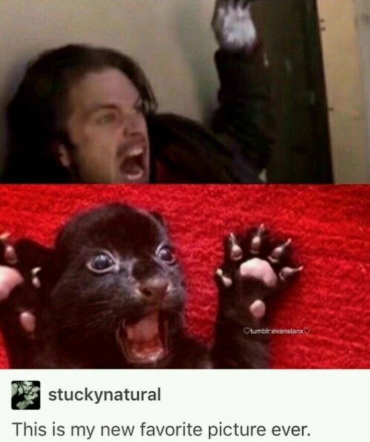 James Buchanan Barnes (Bucky) thumbnail