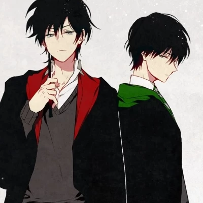 (hogwarts)Los Riddles-Gaunt hermanos thumbnail