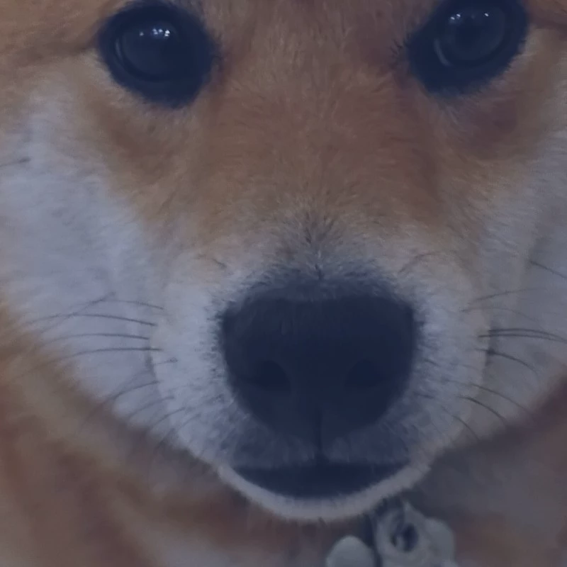 yuki