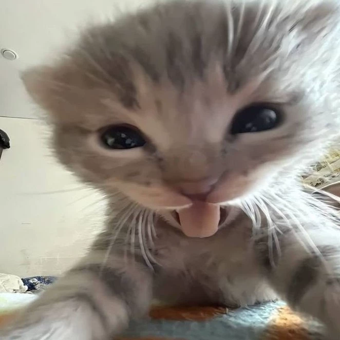 ‌