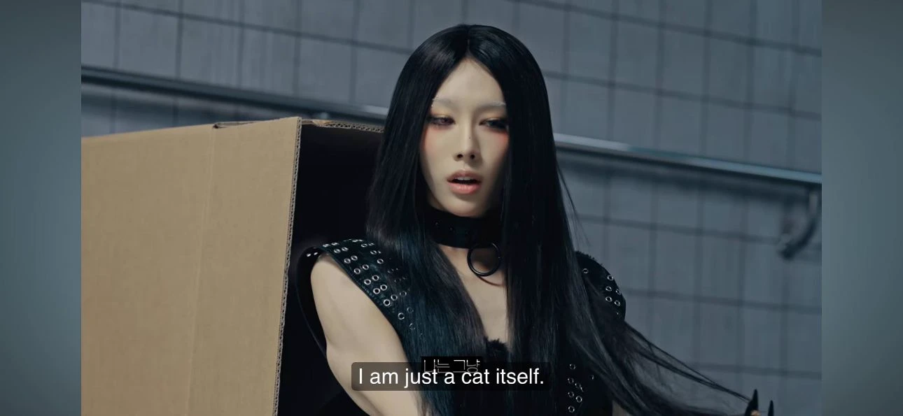 Rui – Catman thumbnail