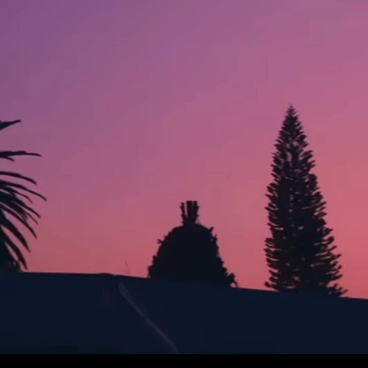 T/N