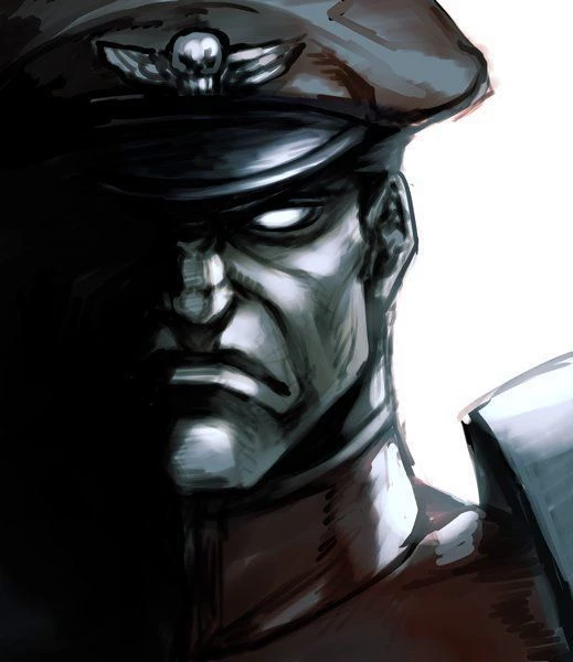 Bison thumbnail