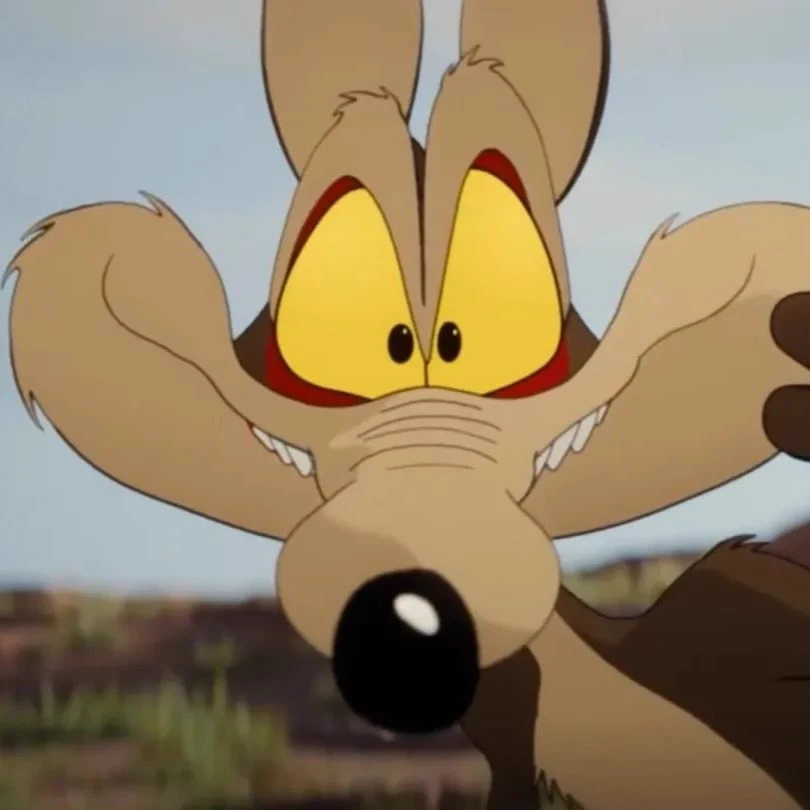 Coyote thumbnail
