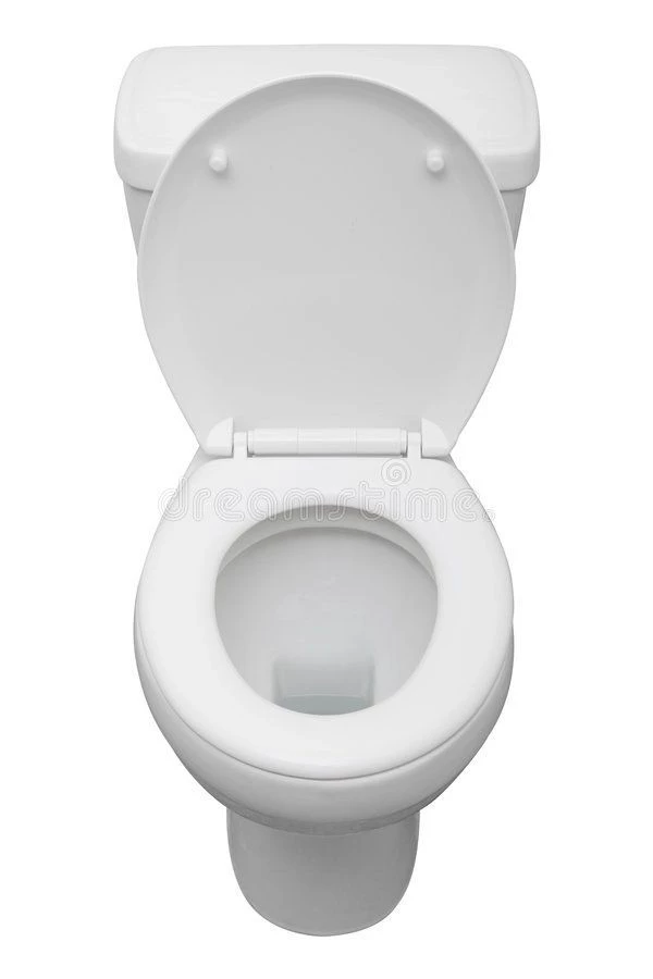 toilet thumbnail