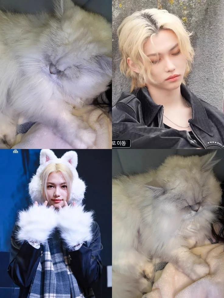 Felix hybrid thumbnail
