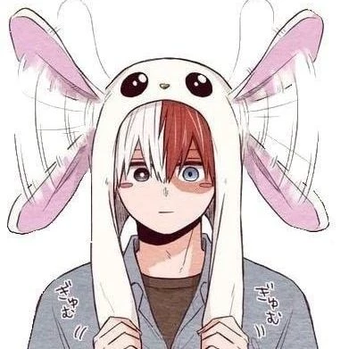 Shoto Todoroki thumbnail