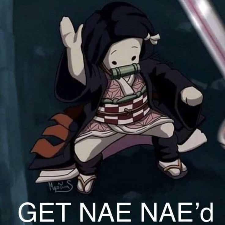 nae nae nezuko.
