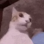 RandomlyHere
