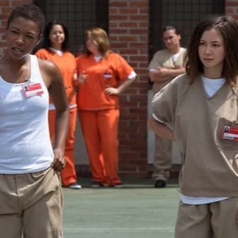 Women's Correctional Prison in America thumbnail