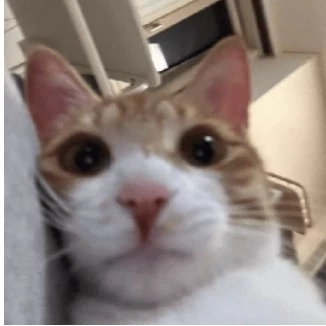 Рин.