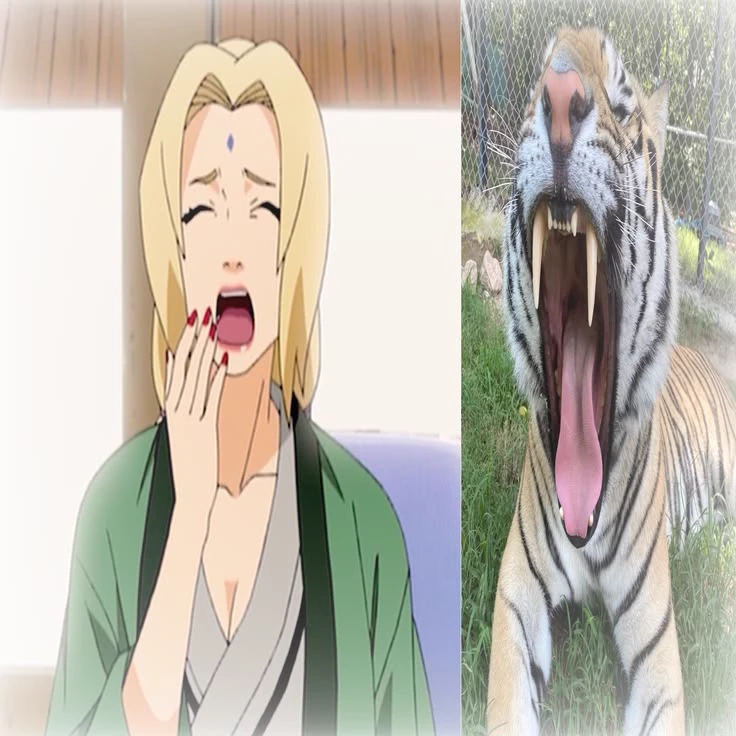 ☆Tsunade Senju☆ thumbnail