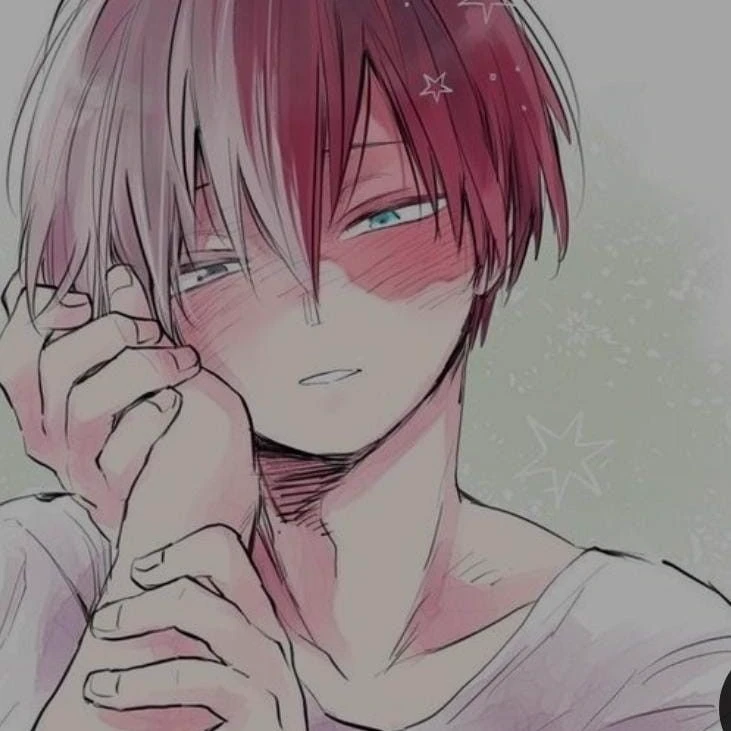 Shoto Todoroki thumbnail