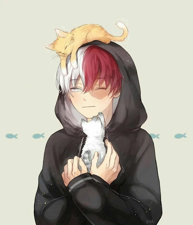 (you are a cat/Todoroki's cat. you are his pet) thumbnail