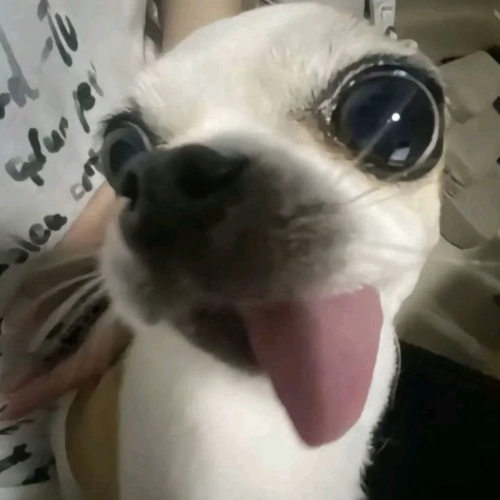 pie