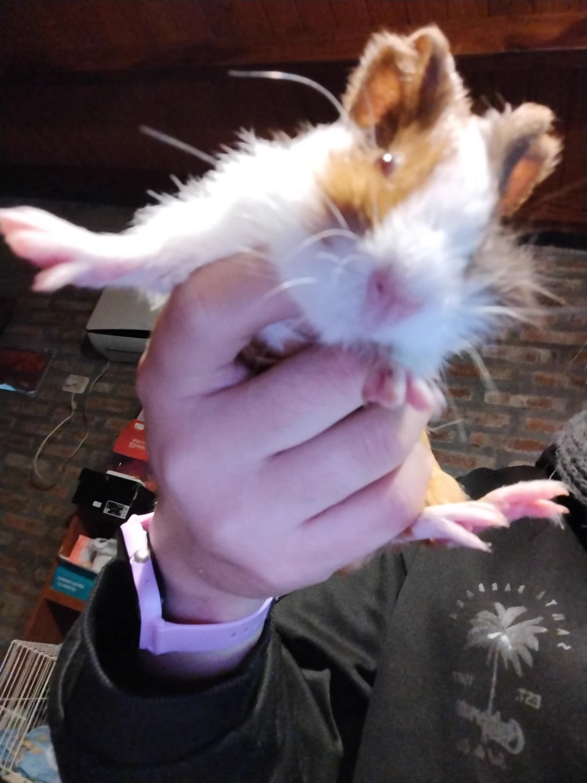 pipe 2 thumbnail
