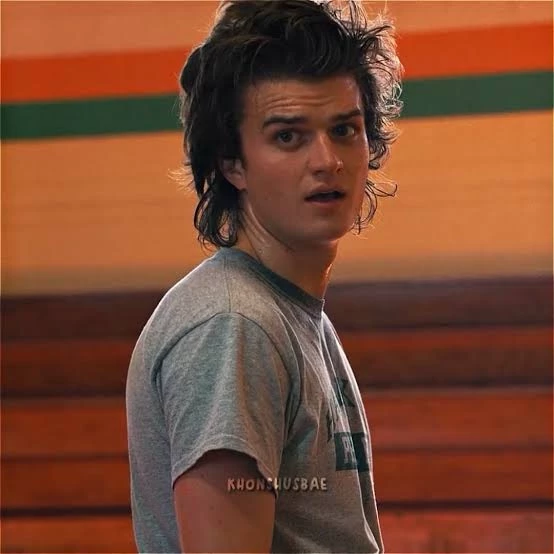 Steve Harrington thumbnail