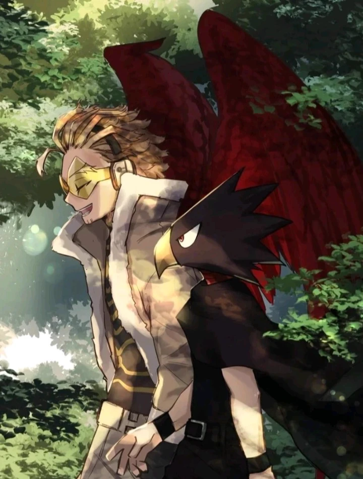 Hawks thumbnail