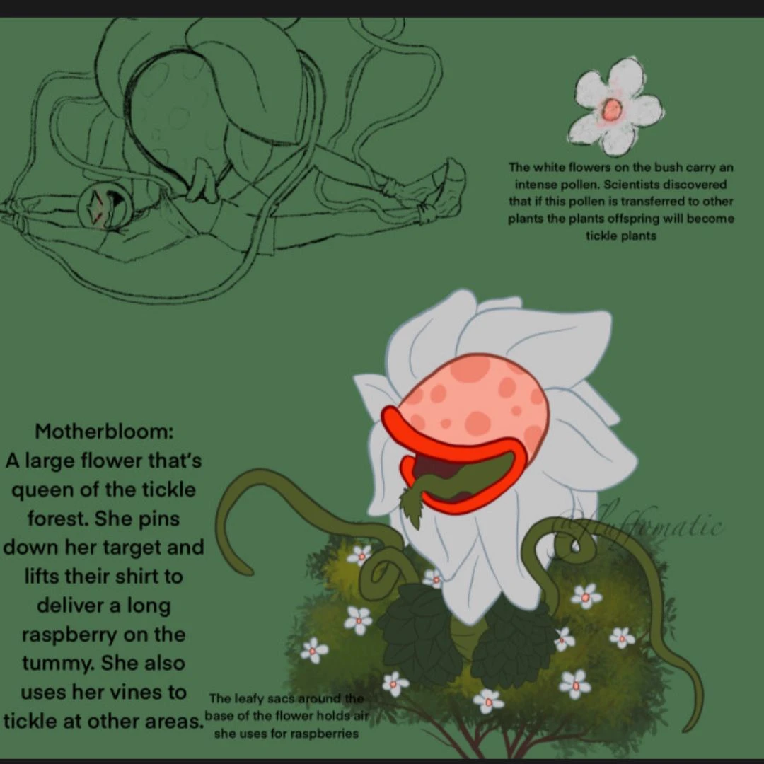 Mother Flower of tickles thumbnail