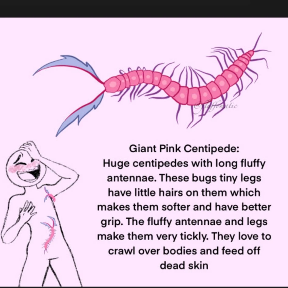 Ticklish Centipedes thumbnail