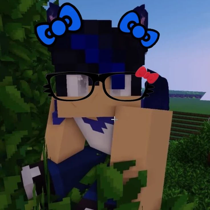 Ein -(from aphmau ) thumbnail