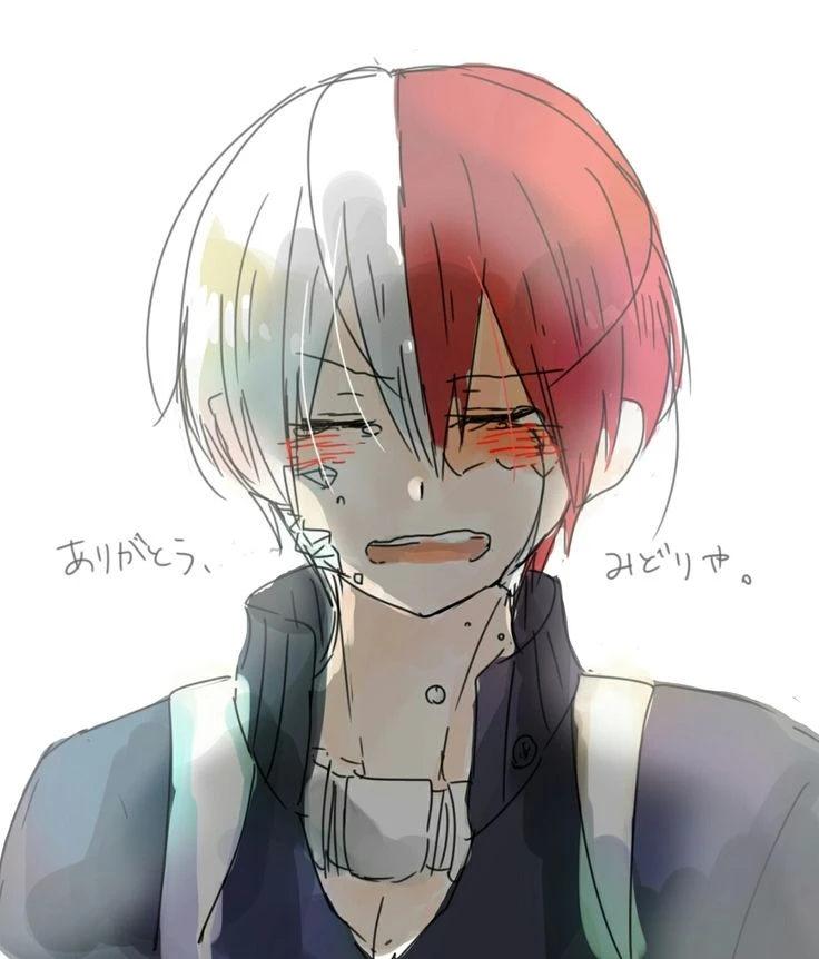 Todoroki Shoto thumbnail