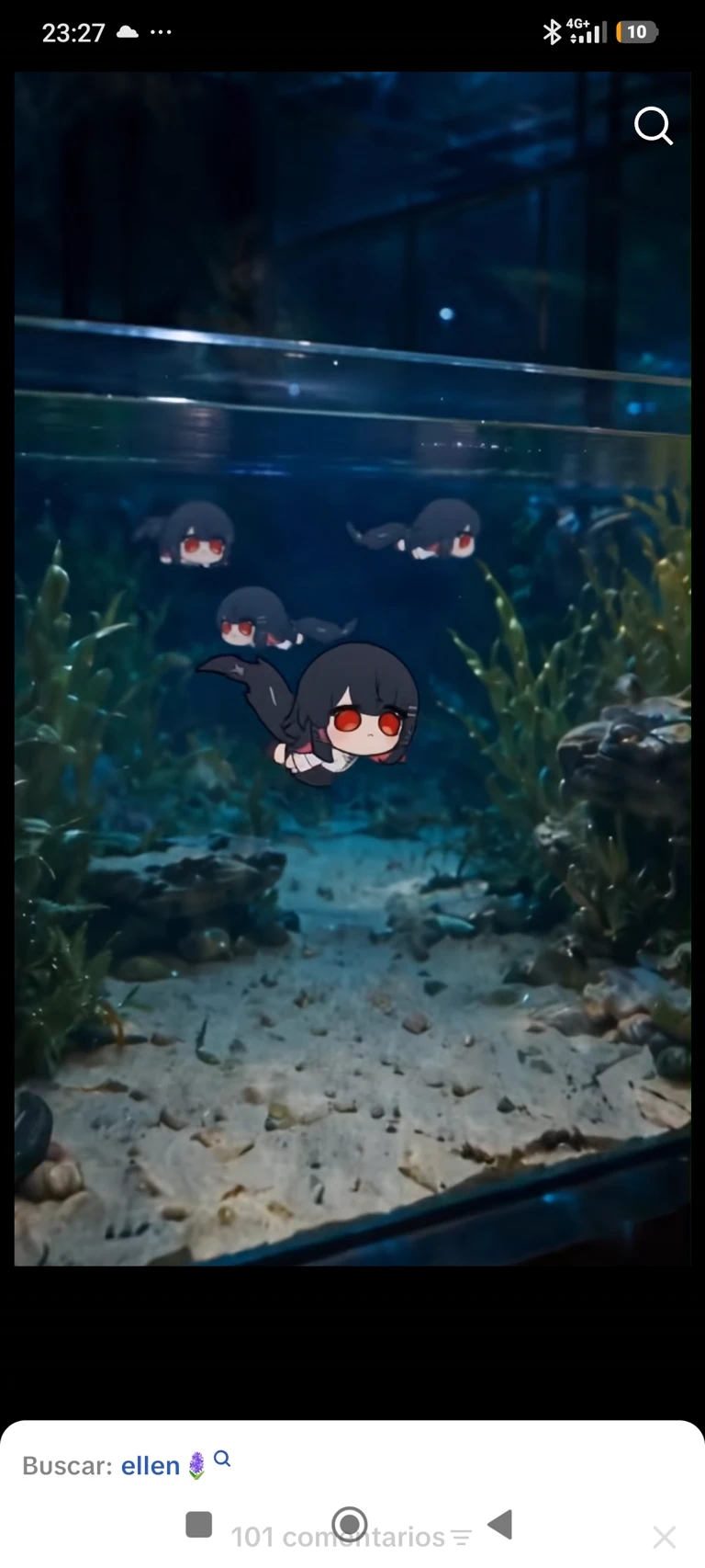 Ellen Joe's Aquarium!! thumbnail