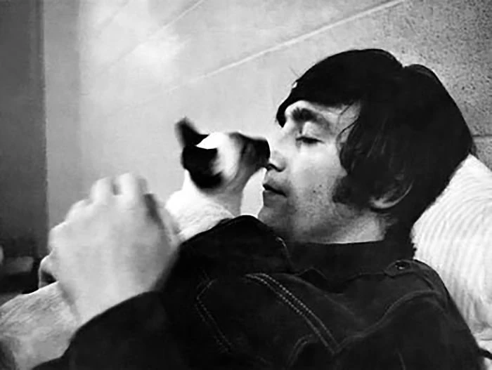 John Lenoꬻ . ' ✖️ thumbnail