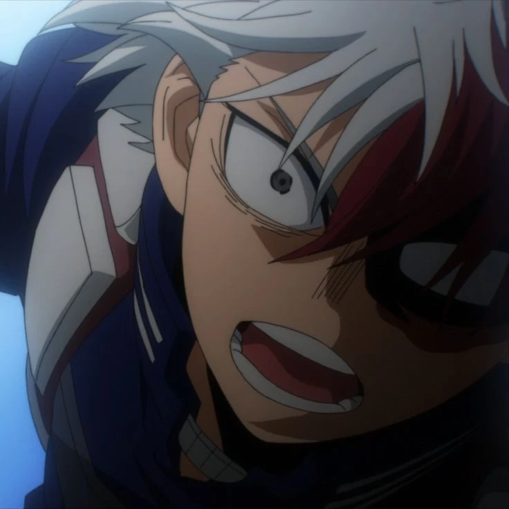 Shoto Todoroki ❄️🔥 thumbnail