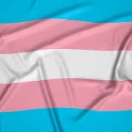 Transgender Test by Dr. Elara thumbnail