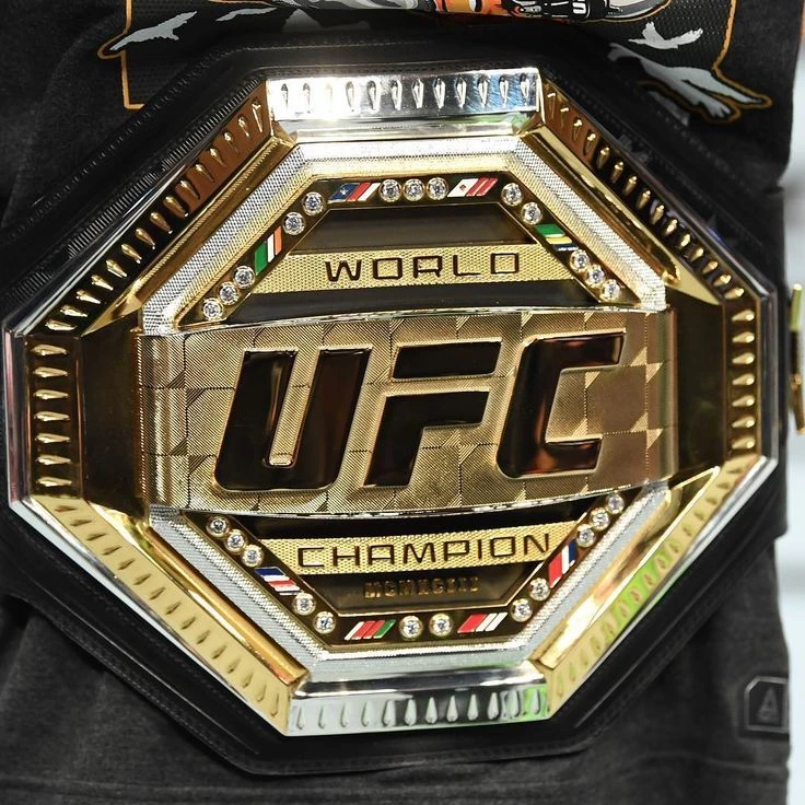 ✞︎Road To UFC✞︎ thumbnail