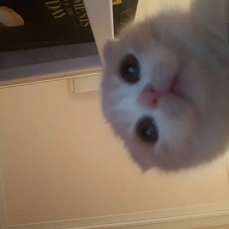 Zia