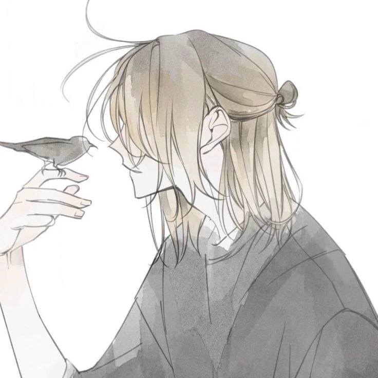 Noah thumbnail