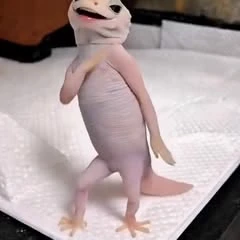 ★Wandel gecko★ thumbnail