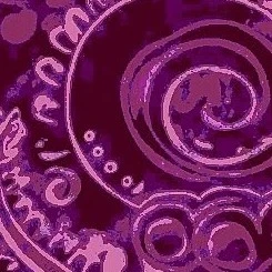 Y/N