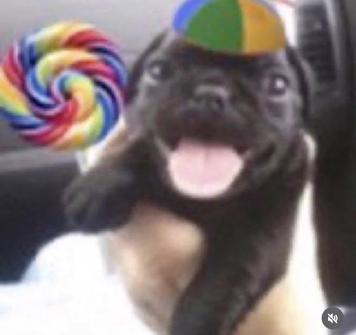 Shopping Rio Sul thumbnail
