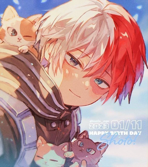 Shoto Todoroki 🧊🔥 thumbnail