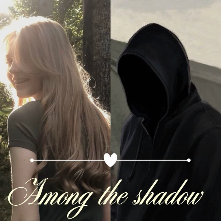 Through the shadows thumbnail