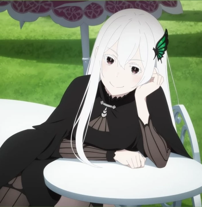 Echidna thumbnail
