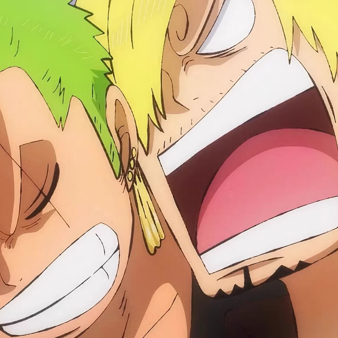 Sanji and Zoro, your best friends thumbnail