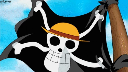 The Straw Hat Crew thumbnail