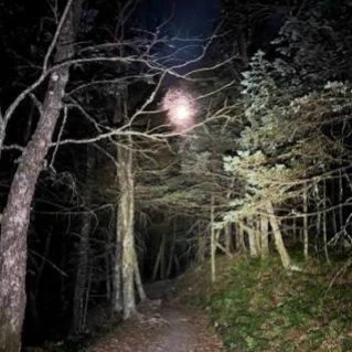 Appalachian forests thumbnail