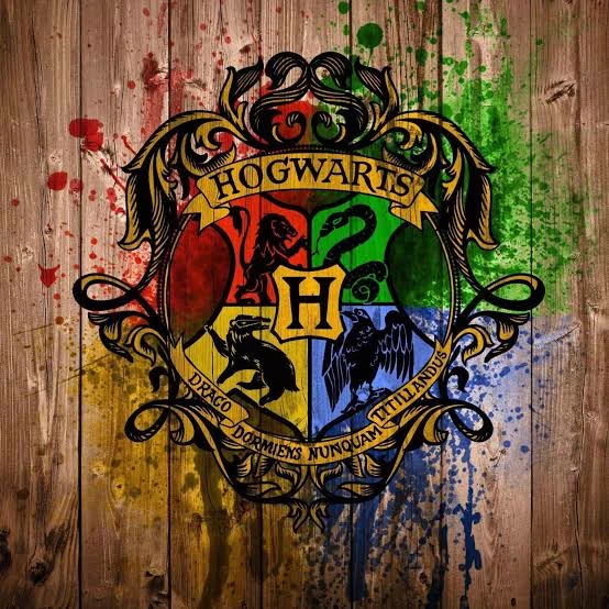 MHA x Harry Potter thumbnail