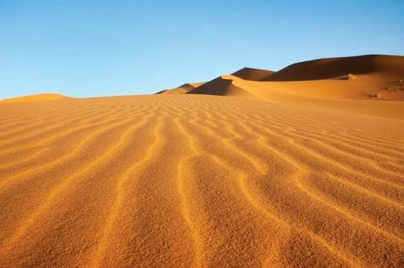 desert survival thumbnail