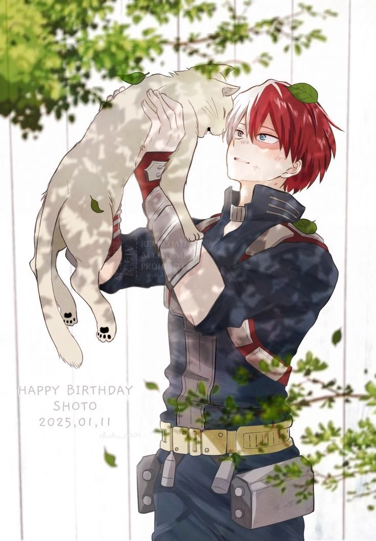 shoto todoroki thumbnail