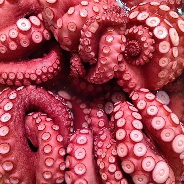 The Crimson Coil thumbnail