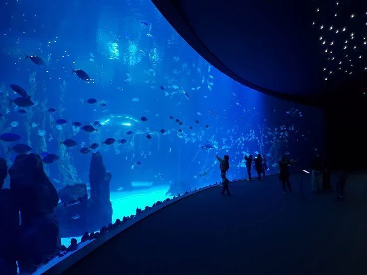 Unstable smp (Aquarium trip) thumbnail